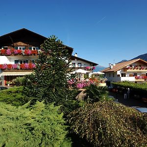 Hotel Traubenheim